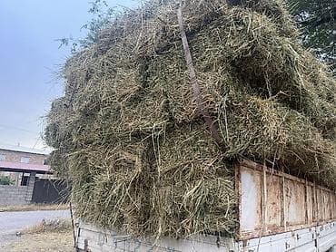 будай урон: 1й кос разнотравье 210сом доставки по району 220тюков загруженно Тюк — 3