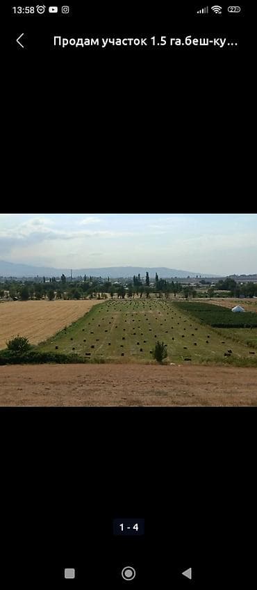 участок а: 50 соток, Договор купли-продажи — 2