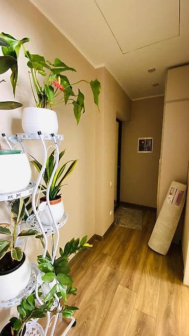 квор: 1 комната, 32 м², Индивидуалка, 5 этаж, Евроремонт — 4