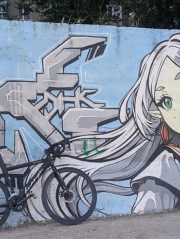 Велосипеды: Городской/гравийный велосипед с шоссейной посадкой - Рама — 3