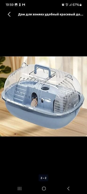 cat chow: Хомячки декоративные разных пород и окрасов - В наличии джунгарики — 6