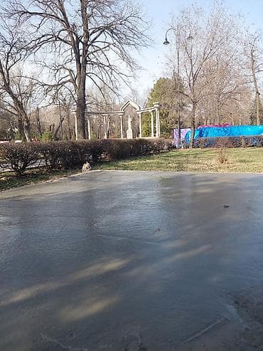 Фундаменттик 6 жылдан ашык тажрыйба
