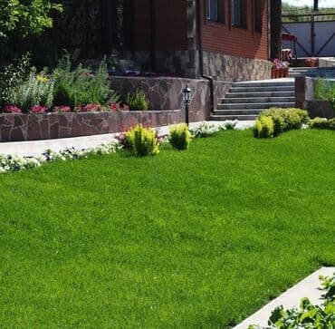 Газон 🌱 сеем газон 🌱 посев газона 🌱 ландшафтный дизайн 🌱 Озеленение