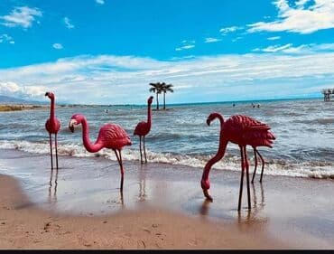 бюджетные пансионаты иссык куля: Квартира, Palmbeach ЦО Palm Beach, Чок-Тал, Детская площадка, Парковка, стоянка, Охраняемая территория — 11