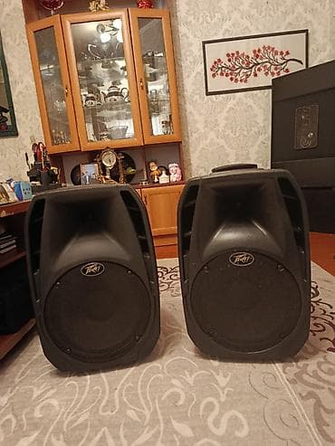 hyper x cloud: Активные акустические системы LD Systems LDGT12A (немецкий бренд) - — 7