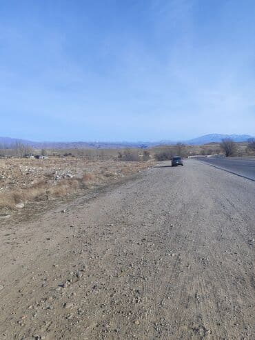 дом чон сары ой: 2 соток, Красная книга — 3