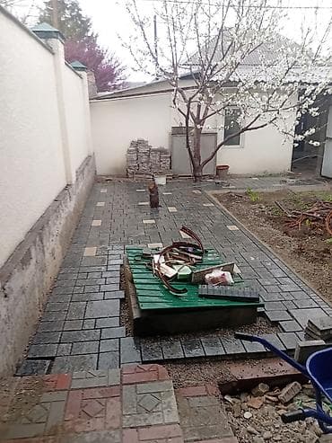 сапатком: 6 жылдан ашык тажрыйба — 8