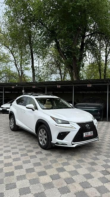 Lexus NX: 2019 г., 2 л, Автомат, Бензин, Кроссовер