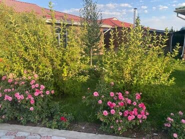 дом м: Квартира, Париж 2 ЦО Париж, Чок-Тал — 6