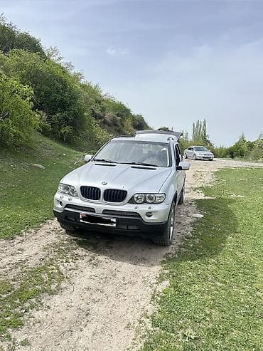 bme e39: BMW X5: 2004 г., 3 л, Автомат, Дизель, Внедорожник — 7