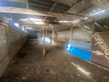 Үйдү ижарага алам: Үй, 80 кв. м, 3 бөлмө, Менчик ээси, Косметикалык оңдоо — 4