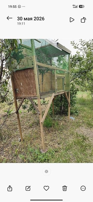 карлики кур: Защитные сетки от птиц — 3