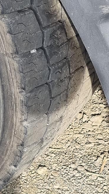 тягач реф: Тягач, Volvo, Холодильник, рефрижератор — 8