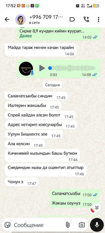 Аксессуары: 🍀 Эн алгачкы жолу Кыргызстандын тарыхында 2019-жылы бит -сиркеге — 10