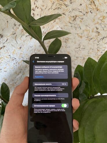 ноутбук колдонулган: IPhone Xs Max, Колдонулган, 256 ГБ, Rose Gold, 100 % — 4