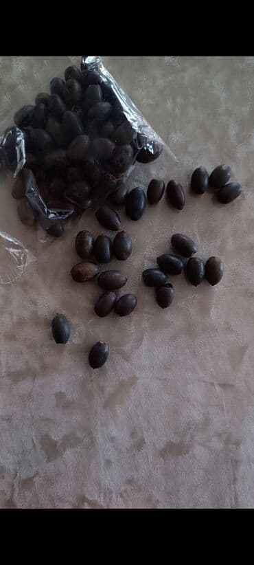 меняю с моей доплатой: Семена Лотоса. в наличии семена на последнем фото,таких пачек — 4