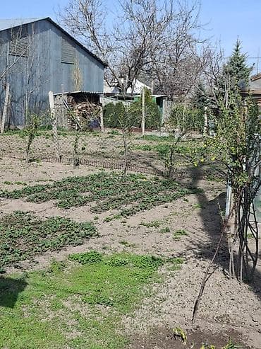 Земельные участки: 6 соток, Для строительства, Красная книга, Тех паспорт, Договор дарения — 9