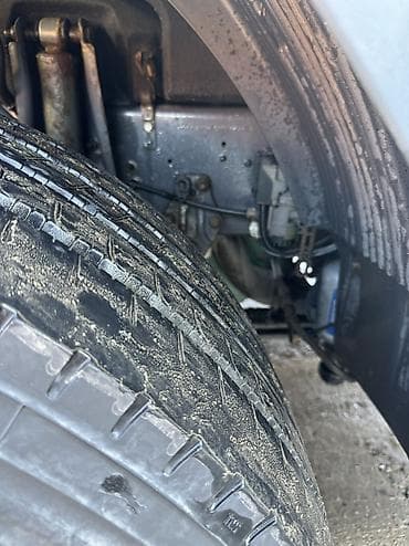 sprinter delfin: Тягач, Volvo — 7