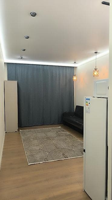 flat kant: Студия, Собственник, Без подселения, С мебелью полностью — 2