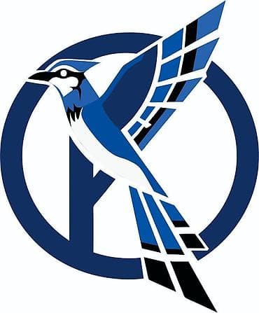 iohone x: Разработка логотипов, фирменного стиля и айдентики для вашей компании — 1