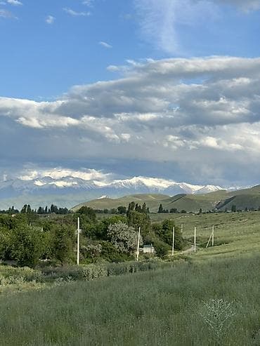 Жер тилкелери: 4 соток — 1