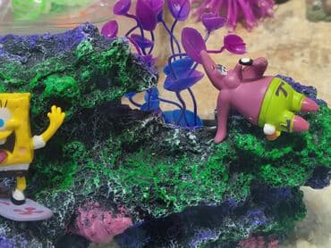 Мышыктар: Аквариум 30 литров с дизайном спанч Боб — 3