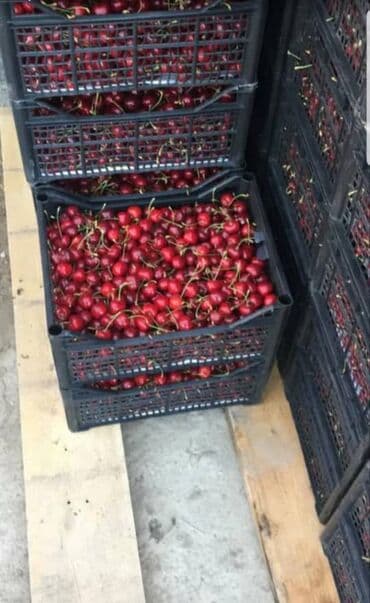 старый буфет: Пластиковый Ящик — 4