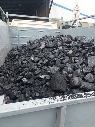 радиаторы отопления: Coal briquettes Платная доставка — 3