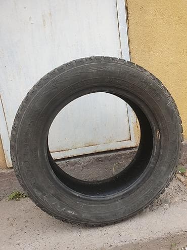 шипованная: Зимняя шина Nokian Nordman 5, шипуемая - Размер: 185/65 R15 (указано — 1