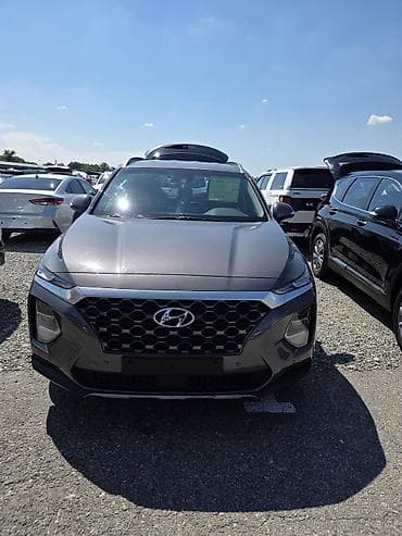 Hyundai Santa Fe: 2019 г., 2 л, Автомат, Бензин, Кроссовер