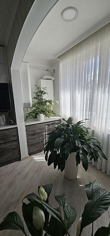 продаю караоке: 4 комнаты, 107 м², 106 серия улучшенная, 1 этаж, Евроремонт — 6