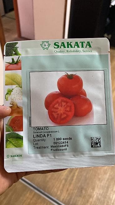 Семена овощей: Помидоры, Самовывоз, Платная доставка at lalafo.kg Семена овощей: Помидоры, Самовывоз, Платная доставка