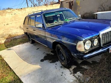 шины для фронтальных погрузчиков: Mercedes-Benz W123: 1980 г., 2.4 л, Механика, Дизель, Универсал — 6