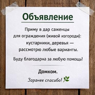Ищу саженцы для создания ограждения (живой изгороди). Подойдут любые