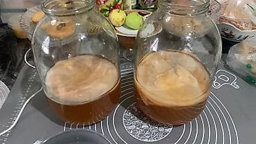 для кожи: Домашний чайный гриб (SCOBY) с рабочей закваской для приготовления — 5