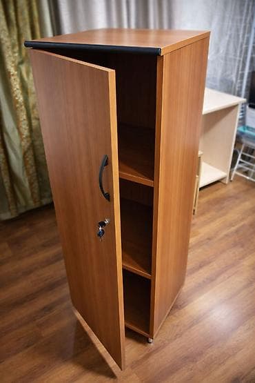 Терезелер жана комплектөөчүлөр: Кийимдер үчүн текче, Колдонулган, ЛДСП, Өзү алып кетүү, Акылуу жеткирүү — 4