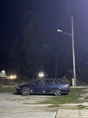 фит 2000: Volkswagen Passat: 1990 г., Седан — 6
