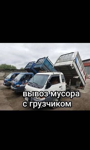 услуги гавновоз: Заказать Хендай портер, Вывоз строй мусора, Другие опции — 1