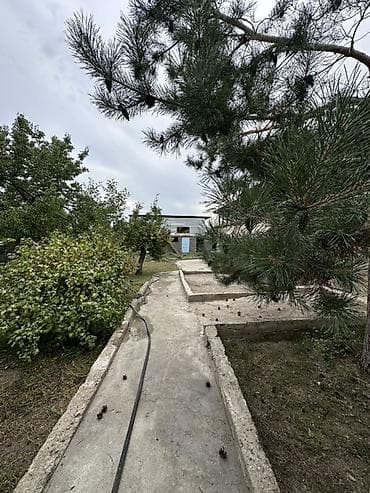 Продажа домов: Сдаеться дом в аренду отдыхающим 5 комнатный, души туалет внутри,и — 4