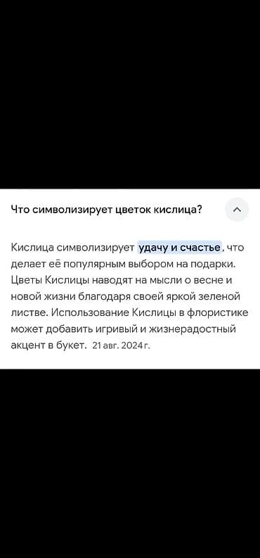 орхидея бинти бабочка: Будет пышная шапка Готов к переезду - Новый горшок✅️ - Новый — 5