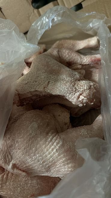 мука рыбная купить: Бройлер Халал, местная птицефабрика НЕ ПРИВОЗНОЙ! 240 сом оптом На — 4