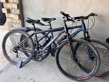 diska 13: Городской велосипед, Рама L (172 - 185 см), Новый — 1