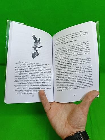 local guide program: Книга Волшебник Изумрудного Города и Изадора Мун в ассортименте📚 — 4