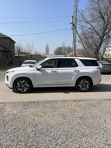 корейский опалобки: Hyundai Palisade: 2020 г., 2.2 л, Автомат, Дизель, Внедорожник — 7