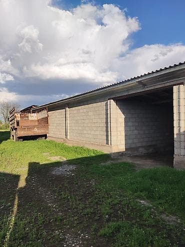 jack 4: Продаётся дом, участок 21 соток. Сарай кирпичный на 20 голов КРС — 2