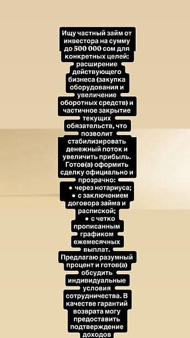 Ищу частный займ от инвестора на сумму до 500 000 сом для конкретных — 1