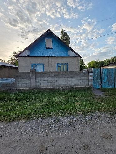 Дом с участком в с. Лесное (трасса к аэропорту Манас) - Площадь дома