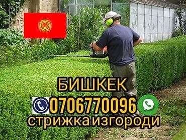стрижка кустов: Профессиональная стрижка изгороди и формовка кустарников в Бишкеке. - — 1
