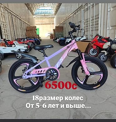 Детские велосипеды: Детский велосипед, 2-колесный, 4 - 6 лет, Для девочки, Новый — 1