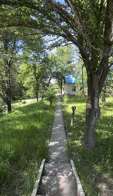 село джал какой район: 50 соток, Для бизнеса, Договор купли-продажи, Красная книга, Тех паспорт — 5